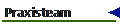 Praxisteam